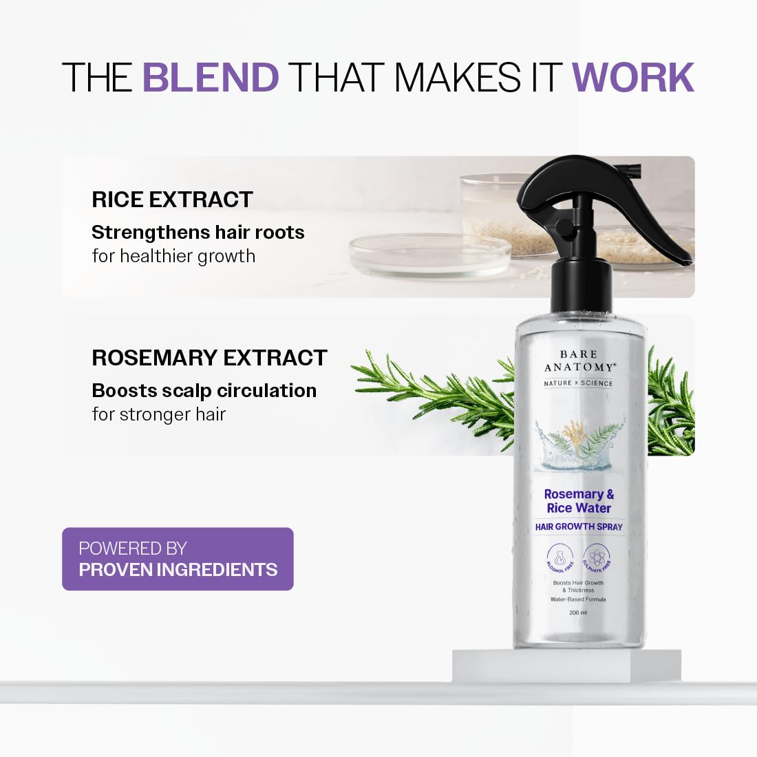 Rosemary and Rice Water Spray